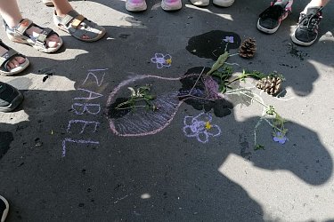 Obrázek č.17